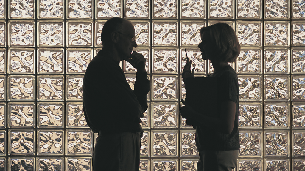 Intelligibility. A woman (right) is speaking to a man (left). They are both in silhouette against a wall of glass blocks, in an office environment. She is holding up a pencil and carries a not pad under her left arm. He has his thumb resting on his chin and is considering what she is saying. This is to illustrate that we need to speak in a way that the other person can understand.